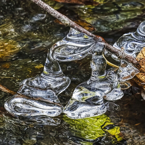 Photograph Larry Hamill Nice Ice on One Eyeland