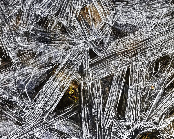 Photograph Larry Hamill Creek Ice Today on One Eyeland