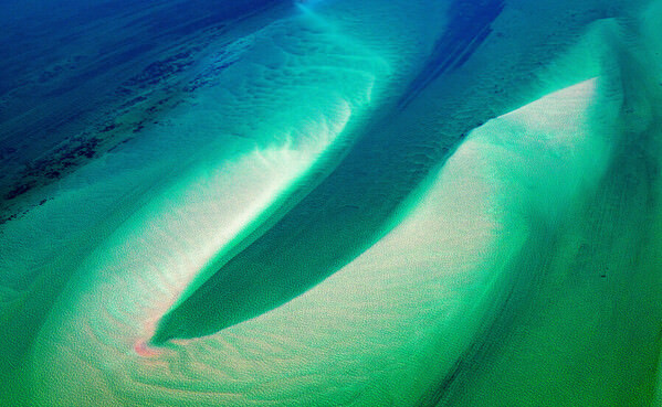Photograph Satheesh Nair Shark Bay 1413 on One Eyeland