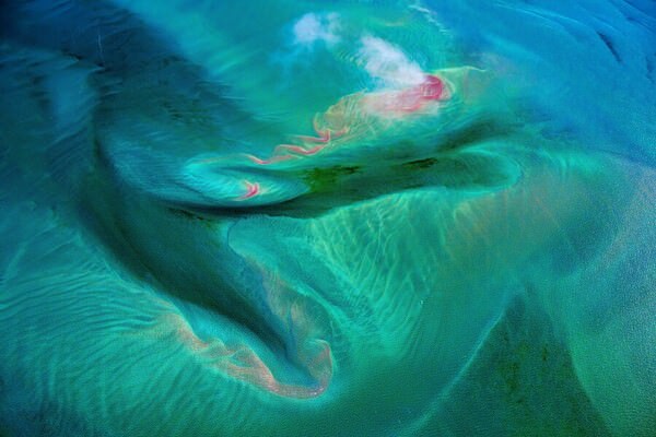 Photograph Satheesh Nair Shark Bay 1677 on One Eyeland
