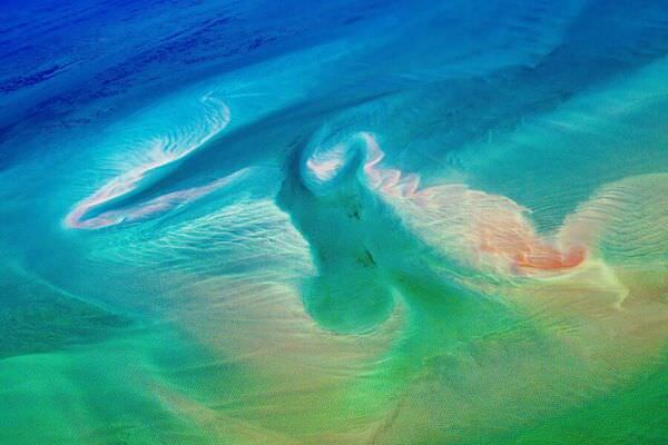 Photograph Satheesh Nair Shark Bay 1996 on One Eyeland