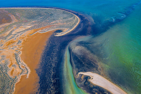 Photograph Satheesh Nair Shark Bay 2282 on One Eyeland
