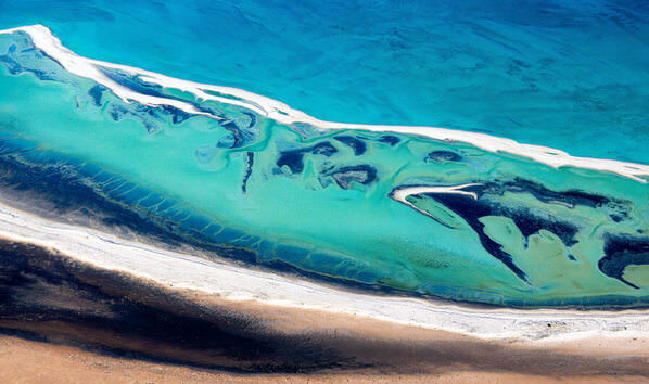 Photograph Satheesh Nair Shark Bay 2467 on One Eyeland