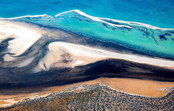 Photograph Satheesh Nair Shark Bay 2479 on One Eyeland