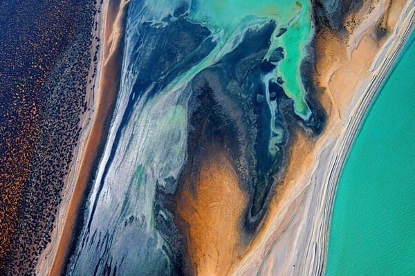 Photograph Satheesh Nair Shark Bay 2598 on One Eyeland