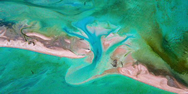 Photograph Satheesh Nair Shark Bay 3469 on One Eyeland