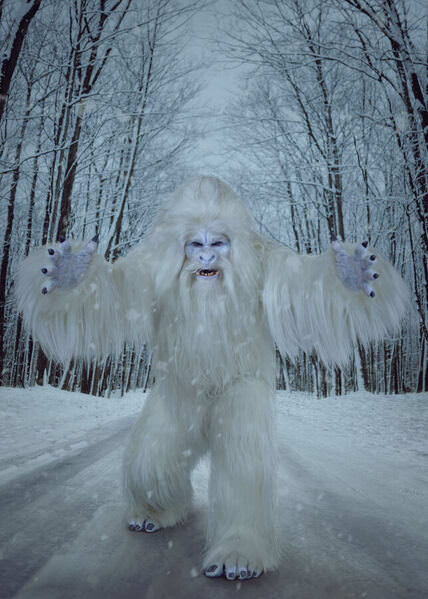 Photograph Kremer Johnson Cryptid Winter on One Eyeland