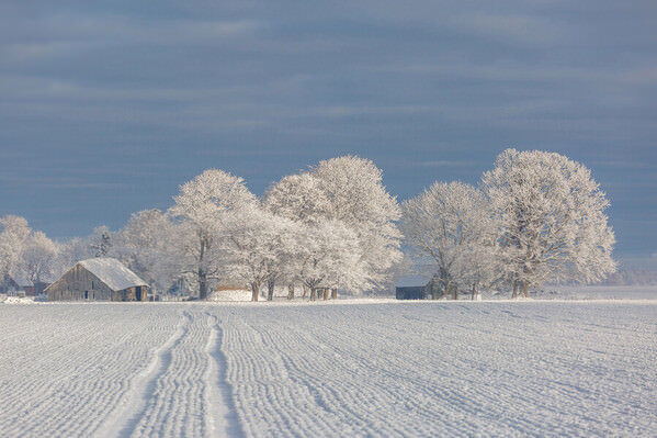 Photograph Julija Lurina Winter on One Eyeland