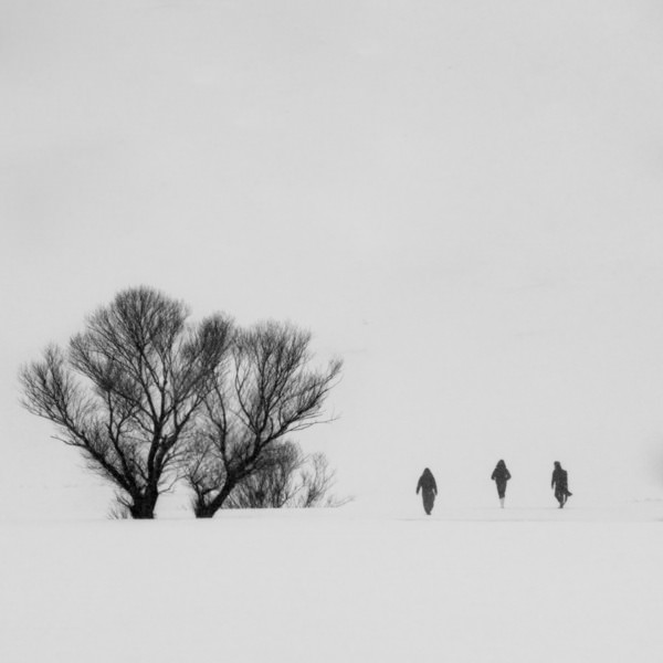 Photograph Mohammad Alipour Snow Day on One Eyeland
