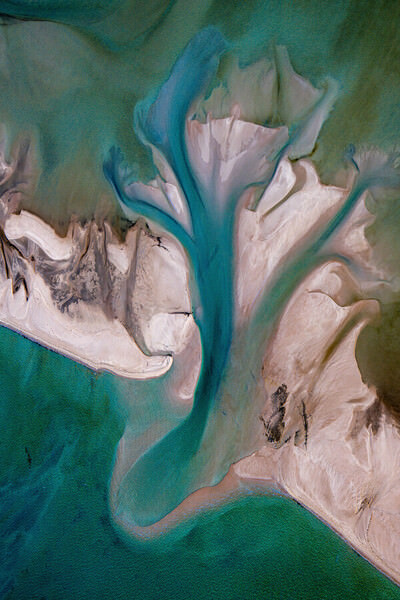 Photograph Satheesh Nair Shark Bay 1854 on One Eyeland