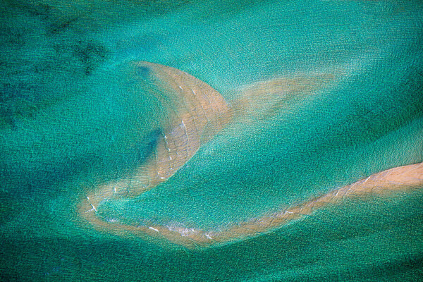 Photograph Satheesh Nair Shark Bay 1878 on One Eyeland