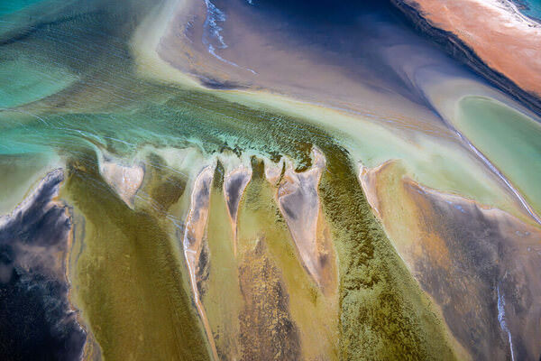 Photograph Satheesh Nair Shark Bay 4790 on One Eyeland