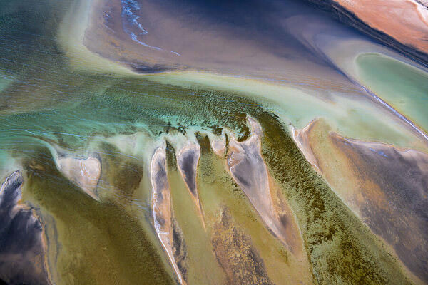 Photograph Satheesh Nair Shark Bay 4679 on One Eyeland