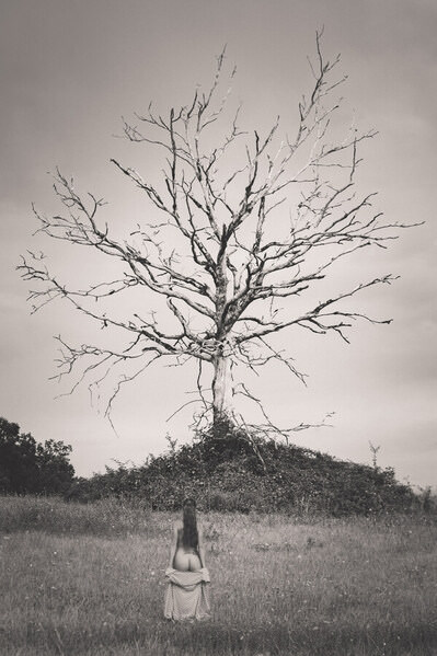 Photograph Thierry Smets Arbre Mort on One Eyeland