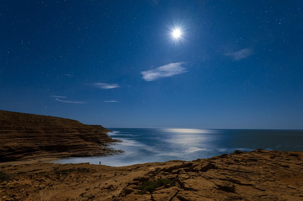 Photograph Satheesh Nair Shark Bay 0319 on One Eyeland