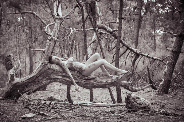 Photograph Thierry Smets Repos on One Eyeland