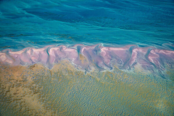 Photograph Satheesh Nair Shark Bay 7087 on One Eyeland