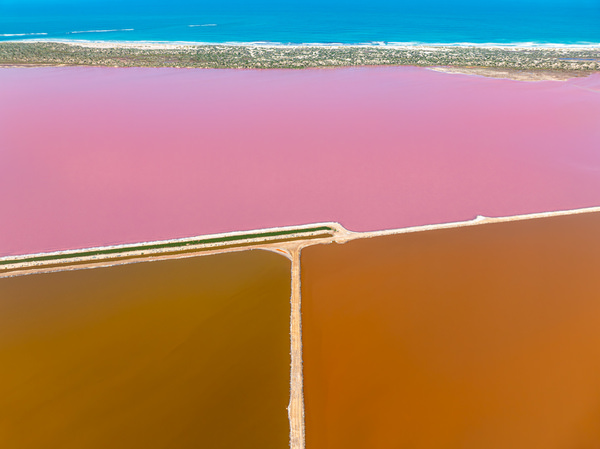 Photograph Satheesh Nair Shark Bay 0315 on One Eyeland