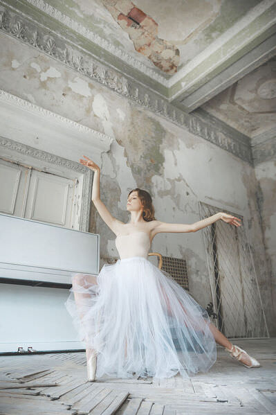 Photograph Ruslan Bolgov The White Swan on One Eyeland