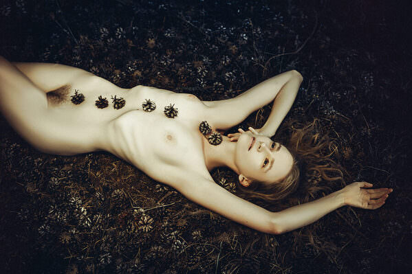 Photograph Ruslan Bolgov Forest Tales on One Eyeland
