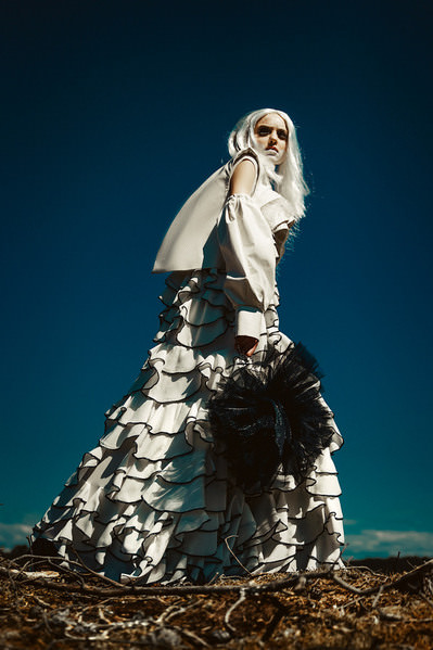 Photograph Ruslan Bolgov Mycelium Collection on One Eyeland