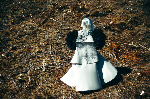 Photograph Ruslan Bolgov Mycelium Collection on One Eyeland