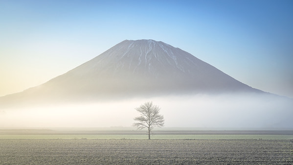 Photograph Yuusei Nagahata A Tree Floating In The Mist on One Eyeland