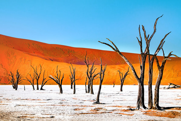 Photograph Taymuraz Gumerov Namibia on One Eyeland