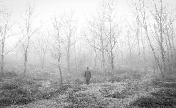 Photograph Arezoo Arianpour Loneliness on One Eyeland