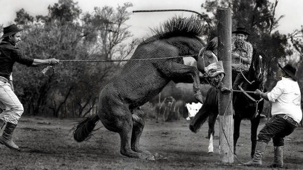 Photograph Luiz Paulo Grinberg The Pole on One Eyeland