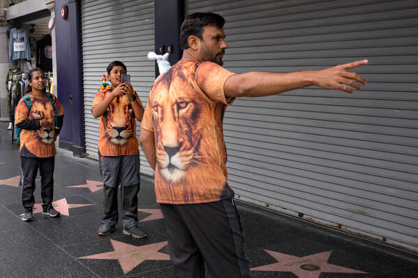 Photograph Eric Davidove Lions In Hollywood on One Eyeland