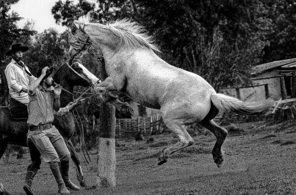 Photograph Luiz Paulo Grinberg Powerful on One Eyeland