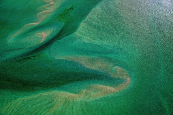 Photograph Satheesh Nair Shark Bay 1690 on One Eyeland