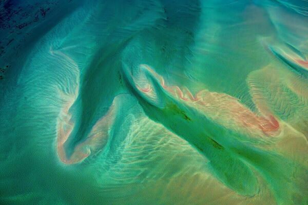 Photograph Satheesh Nair Shark Bay 1768 on One Eyeland
