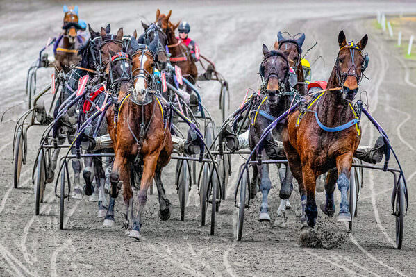 Photograph Huub Keulers Horse Power on One Eyeland