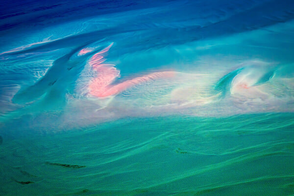 Photograph Satheesh Nair Shark Bay 1963 on One Eyeland