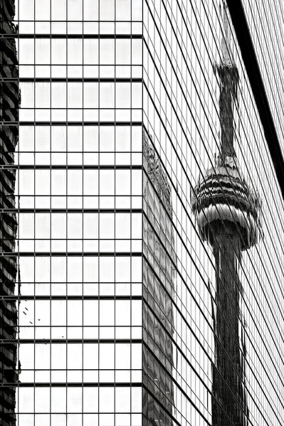 Photograph Gary E Karcz Reflected Toronto Cn Tower on One Eyeland