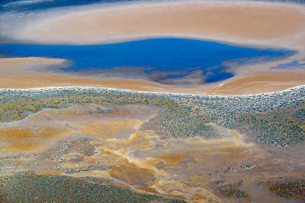 Photograph Satheesh Nair Shark Bay 2398 on One Eyeland