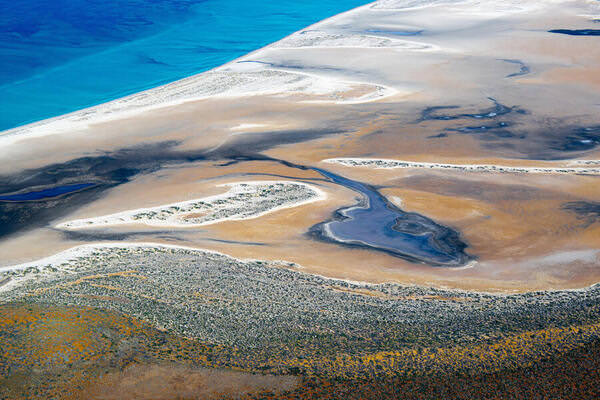 Photograph Satheesh Nair Shark Bay 2417 on One Eyeland