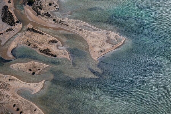 Photograph Satheesh Nair Shark Bay 3796 on One Eyeland