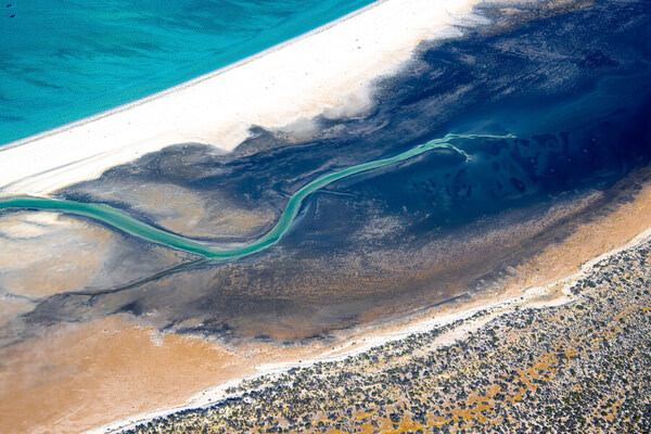 Photograph Satheesh Nair Shark Bay 2430 on One Eyeland