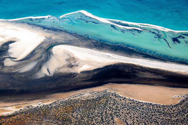 Photograph Satheesh Nair Shark Bay 2479 on One Eyeland