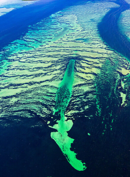 Photograph Satheesh Nair Shark Bay 2921 on One Eyeland