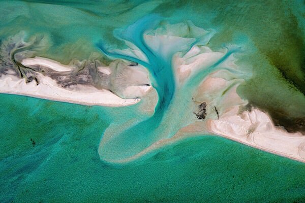 Photograph Satheesh Nair Shark Bay 3292 on One Eyeland