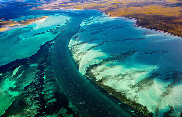 Photograph Satheesh Nair Shark Bay 4688 on One Eyeland