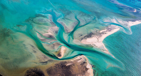 Photograph Satheesh Nair Shark Bay 2994 on One Eyeland