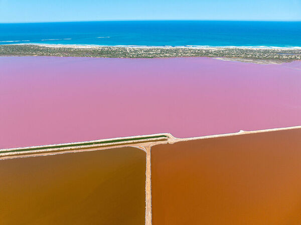 Photograph Satheesh Nair Shark Bay Dji 0319 on One Eyeland