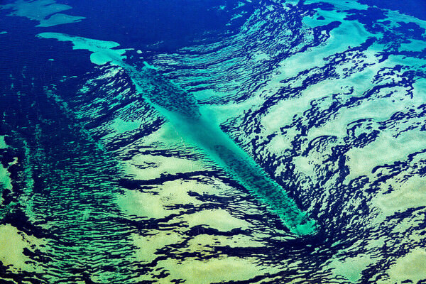 Photograph Satheesh Nair Shark Bay 2853 on One Eyeland