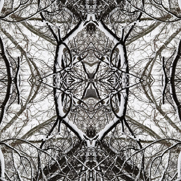Photograph Larry Hamill Hour Glass on One Eyeland