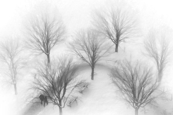 Photograph Gary E Karcz Together on One Eyeland